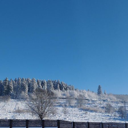 Перлина Карпат Appartement Skhidnytsia Buitenkant foto